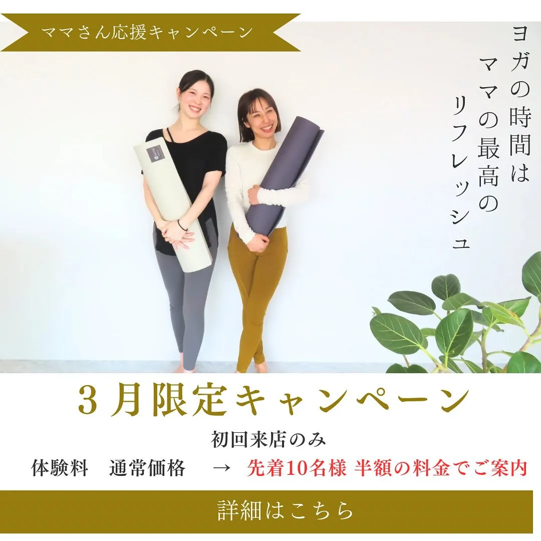 3月限定キャンペーン🌿