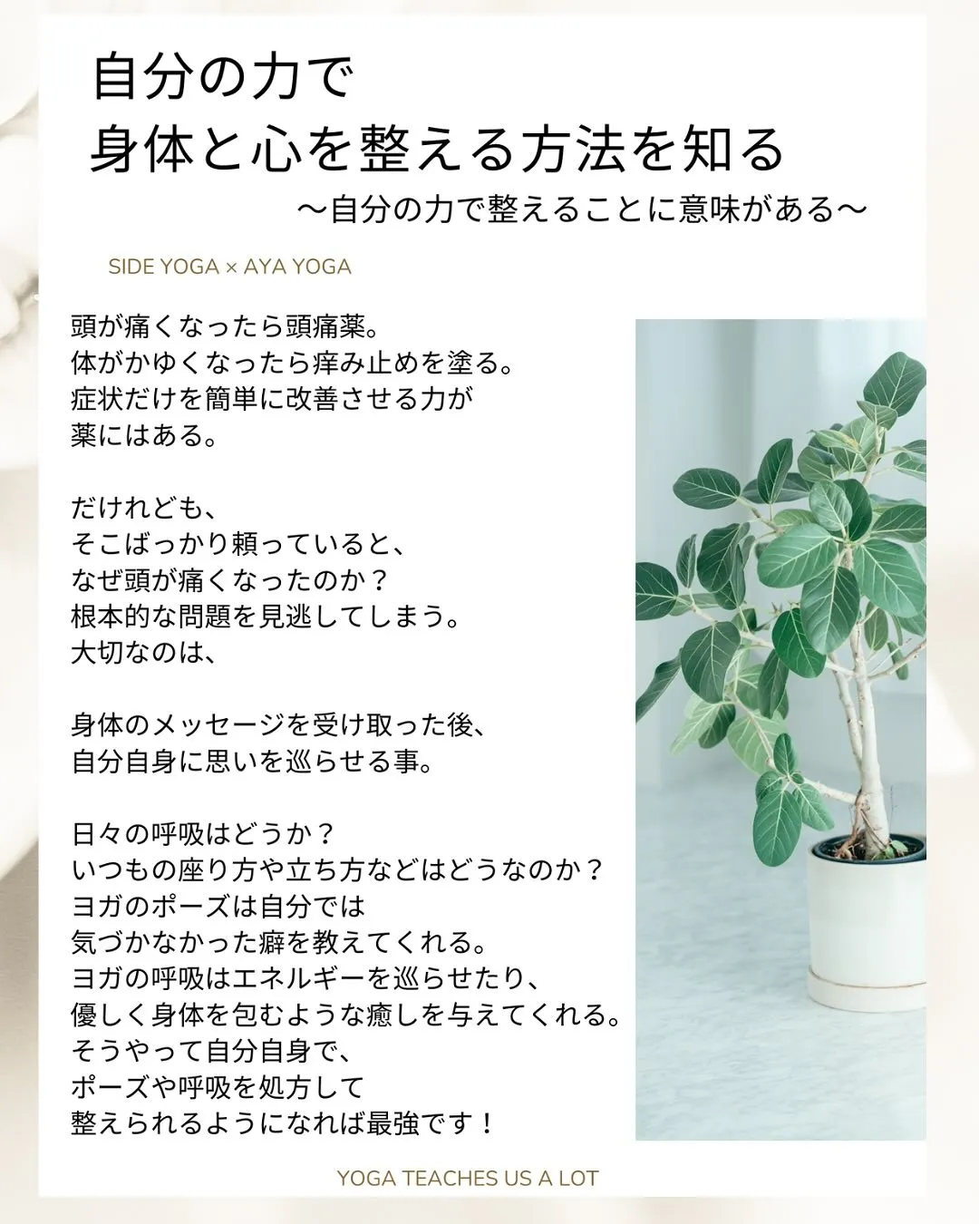 大阪北摂でヨガイベント開催🌿