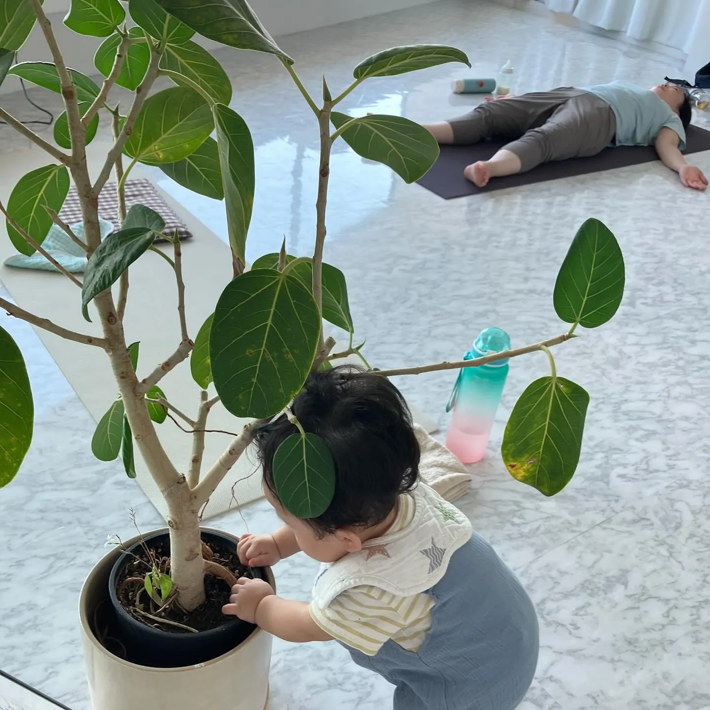 お子様連れヨガ・親子ヨガ😊🌿