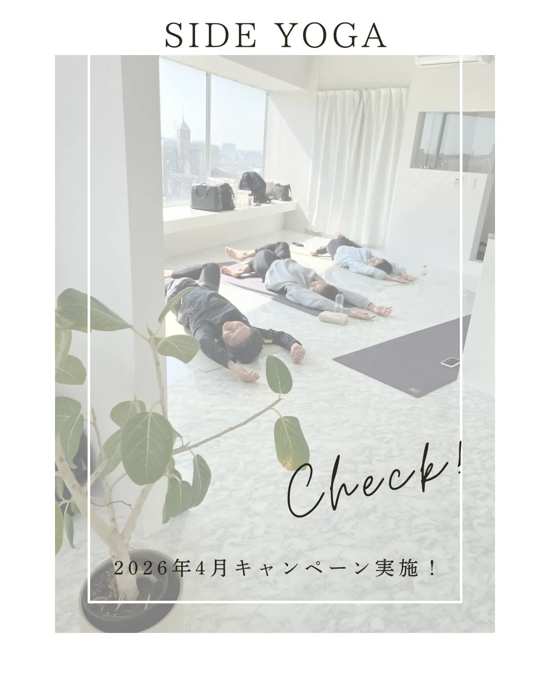 2026年4月限定キャンペーン‼️